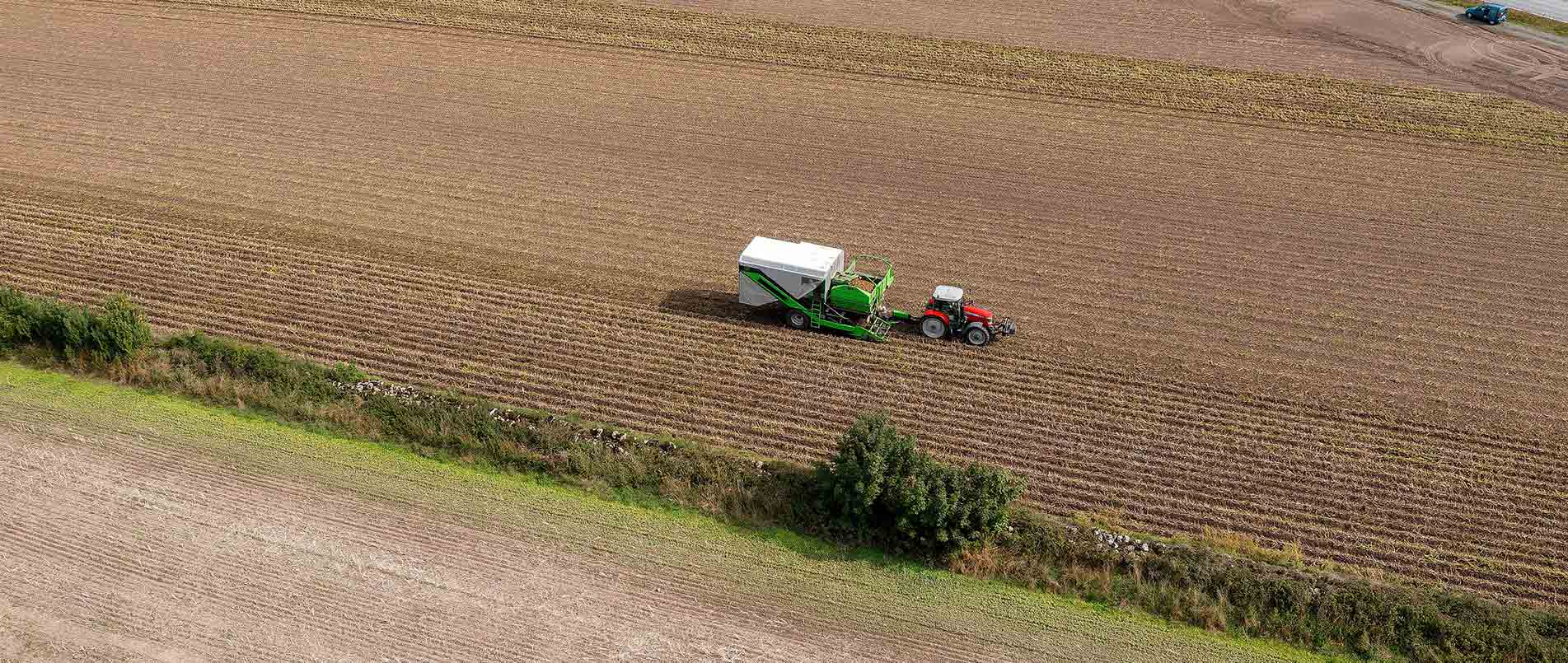 “探、收、烘、运”，看不朽情缘官方网站如何四管齐下一站式保障秋收果实