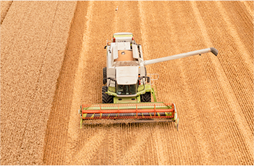 收——加大收割自动化力度，利用智能收获系统，保种保收，提产提质