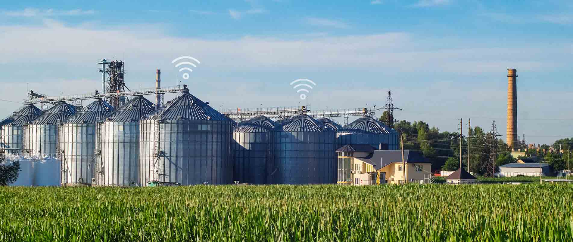 不朽情缘官方网站助力夏粮存储新招式，科技手段更有效