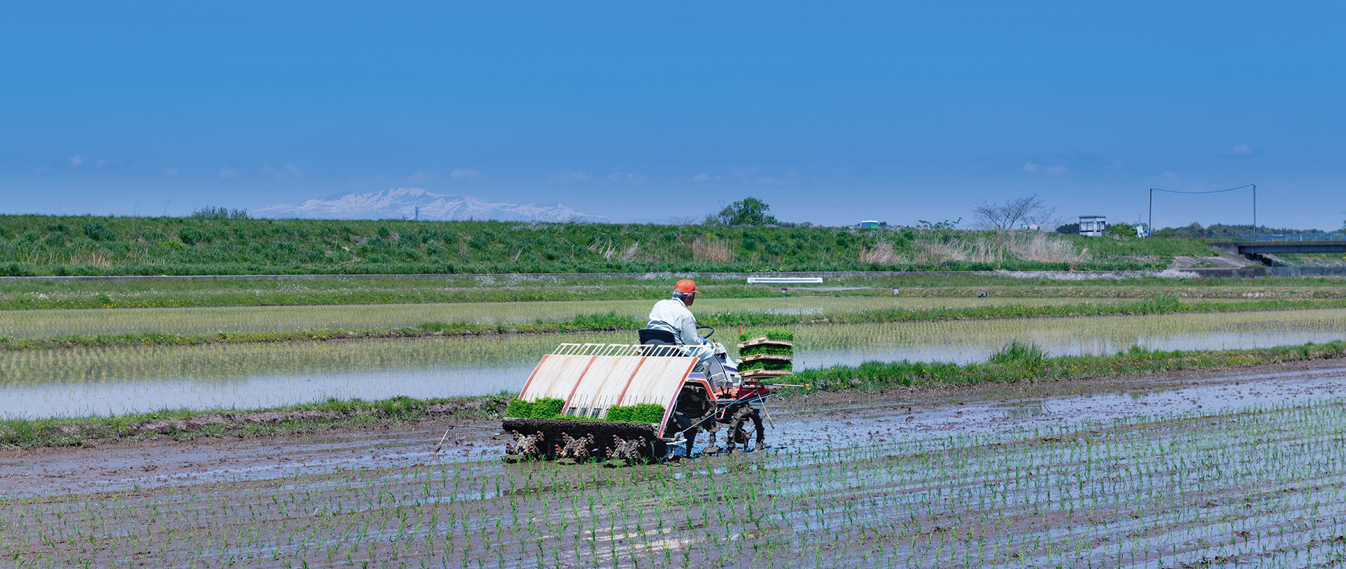 农机水田作业的“智慧大脑”——沃地泰FMA210，告别“经验种植”，开启精准高效农业之旅